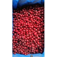 Вишня б/к замороженная кор. 10кг Узбекистан