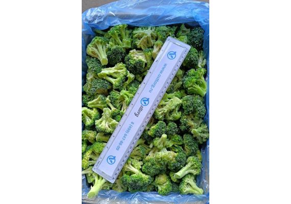 Брокколи быстрозамороженные кор.10кг Египет