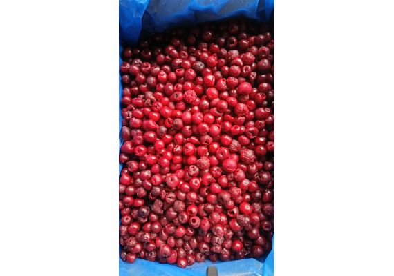 Вишня б/к замороженная кор. 10кг Узбекистан